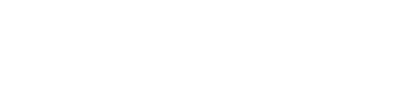 SkySales Pro